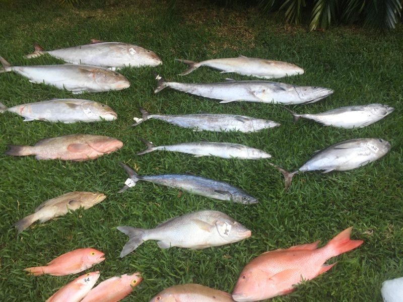 Cartagena Fishing Charter