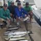 Cartagena Fishing